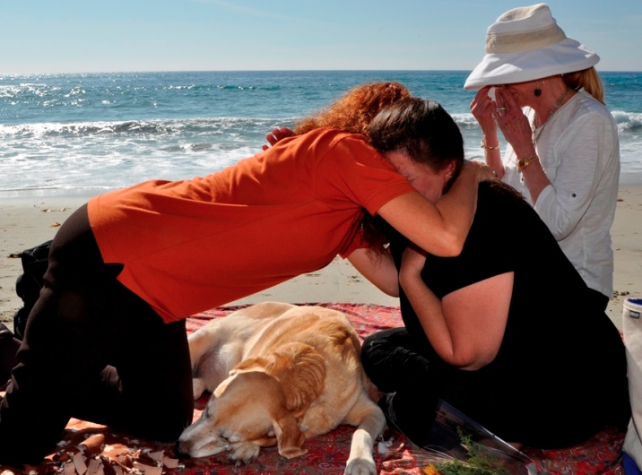 to Home Pet Euthanasia of Southern California Home Pet Euthanasia of Southern California